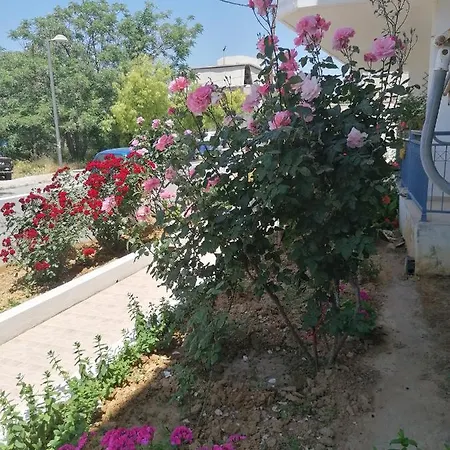 Lejlighed Elva Creta